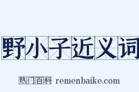 野小子近义词是什么意思的图片